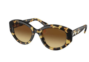 Studded Sunglasses Tortoise